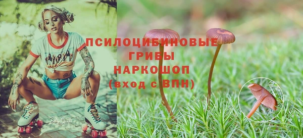 гашишное масло Аркадак